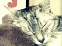 「空ちゃん」に困ってます