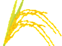 いわき市「見せる課」？