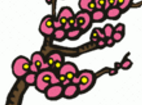 梅の名所「専称寺」