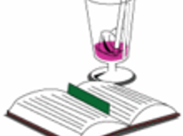 ミキサーでスムージーづくり