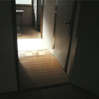  その他の写真