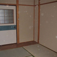  その他の写真  