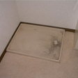  その他の写真