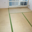  その他の写真