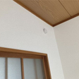  その他の写真