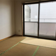  その他の写真  