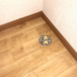  その他の写真