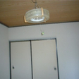  その他の写真  