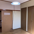 その他の写真