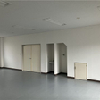  その他の写真