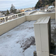  その他の写真