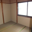  その他の写真