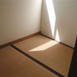  その他の写真