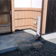  その他の写真