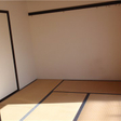  その他の写真