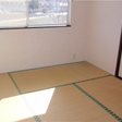  その他の写真
