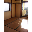  その他の写真