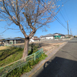  その他の写真  