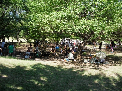 所沢航空公園 梅園