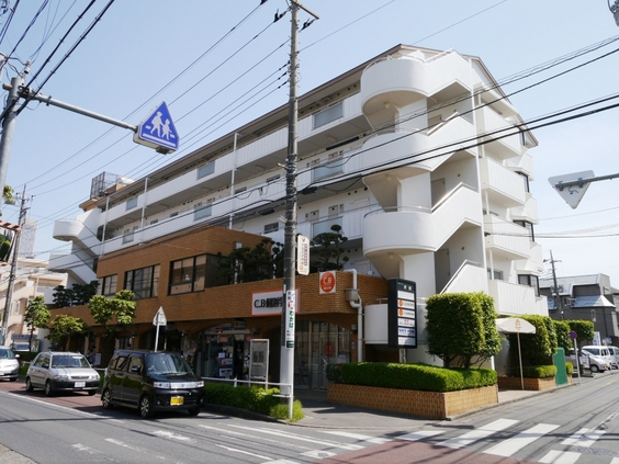 外観図