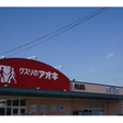  その他の写真
