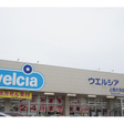 ウエルシア上越大潟店 