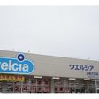 ウエルシア上越大潟店まで約400ｍ 