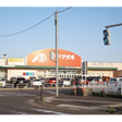 クスリのアオキ　上越昭和町店 