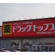 ドラッグトップス南高田店 