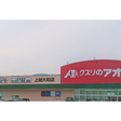  その他の写真