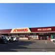 ナルス鴨島店 