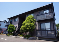 見れない皆既月食