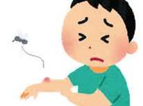 就寝前のできごと