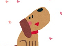 お花見デビュー