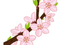 社会経済の関心