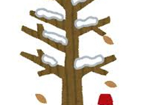 今年の冬は．．．