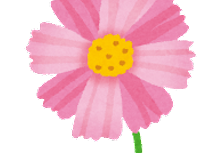 コスモス