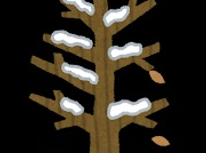 冬の訪れとわが家のヤマボウシ