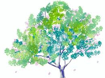 タイミング．．．。