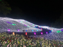 イルミネーション♪