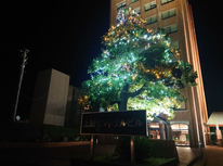 イルミネーション