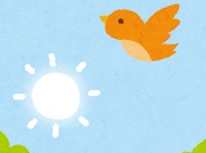 小春日和の休日