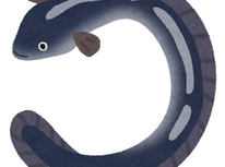 うなぎぬるぬる