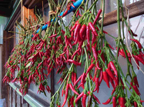 赤いトウガラシ、青いトウガラシ