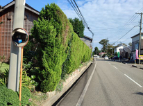 「明日の天気は？」