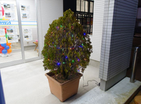 イルミネーション