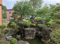 「すがすがしい朝」