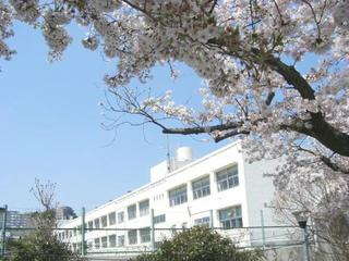 学校