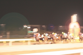 大井競馬場