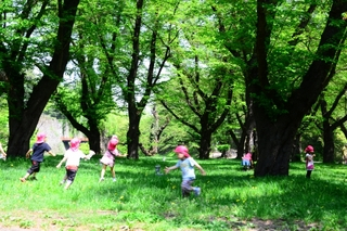 公園に保育所